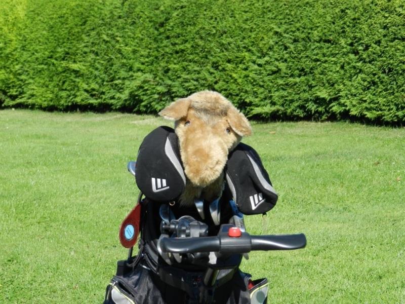 An unexpected visitor at the 2015 Charity Golf Day.