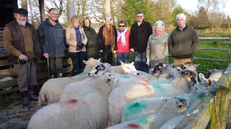 Some Rotarians with sheep