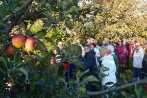 Cider Fields Tour with Gill Girard (September 2011)
