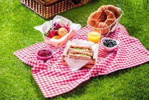 Picnic at Lunchtime Wednesday 31 August 2022