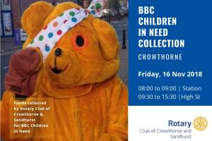 Pudsey Collection in Crowthorne