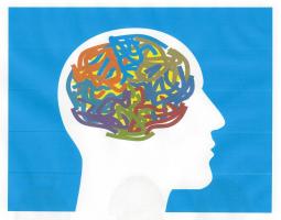 Food For Thought - How To Eat To Support Memory and Mood