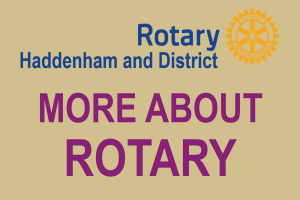 Why does the Rotary year run from 1 July to 30 June?