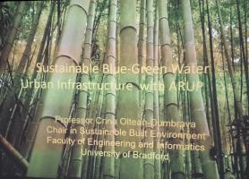 Think Blue Green for Sustainable Urban Infrastructure