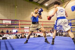 Charity Boxing Dinner 2024