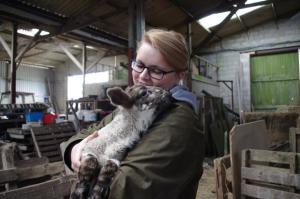 Farm visits to see lambs and calves