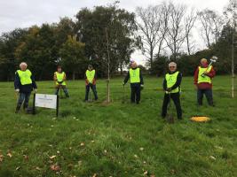 Planting crocuses for World Polio Day, 24th October 2020