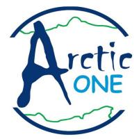Arctic One Dorney Festival