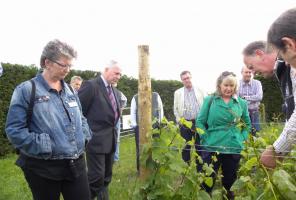 BARC members learn the finer points of viticulture
