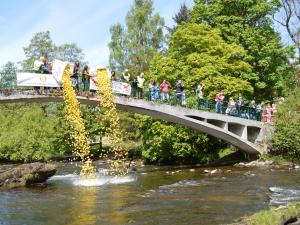 30 May 2015 Duck Race at Fling by the River