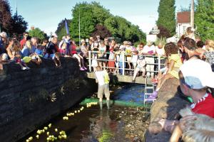 Keeping the Ducks going at the Whitchurch Festival