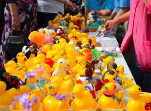 Kirkcudbright Rotary Annual Duck Race - August 2017