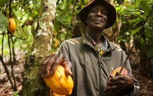 Fairtrade Cocoa Farmer