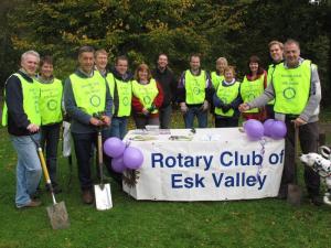 Esk Valley Rotary Focus On The Crocus At Roslin Glen