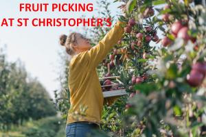 Fruit Picking at St Christopher's