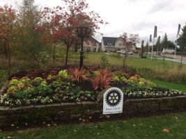2021- Rotary Flowerbed replanted by Cala Homes - 11th November