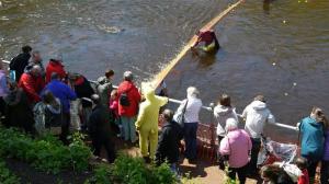 Annual Duck Race and Teas on the Green