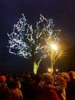 Tree of Lights switch on