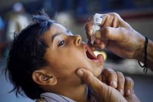 Immunisation Programme