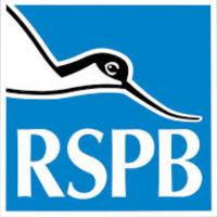 The life and times of an RSPB Local Group