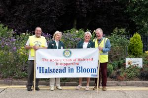 Supporting Halstead in Bloom 2017