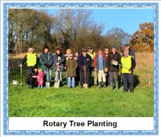 Planting trees in Galley Hill November 2019