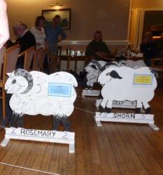 Sheepstakes picture gallery