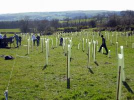 Tree Planting at Lower Heights Farm, Silsden on 25'03'17