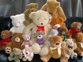 The Teddies clean and ready for a new home.