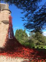 Visit to the Weeping Window