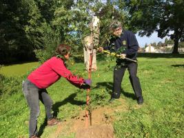 Tree planting in memory of Kirsty Hughes