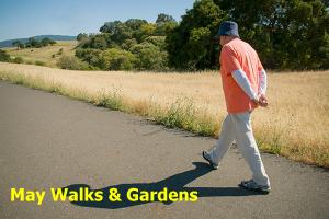 May Rotary Walks and Gardens