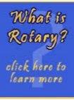 What is Rotary article