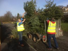 Christmas Tree Collection for St Kentigern