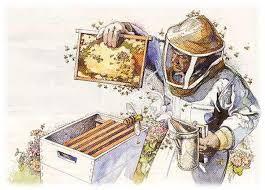 beekeeping drawing