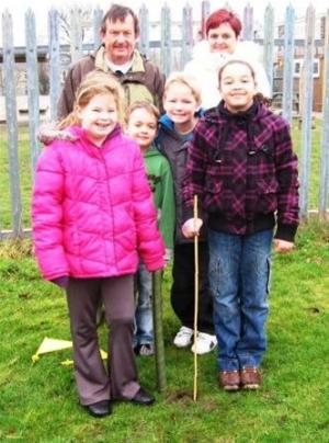 Tree windfall for Primary Schools