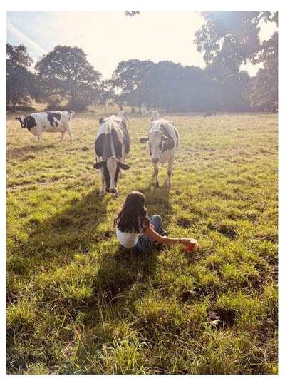 Girl with cows in a meadow