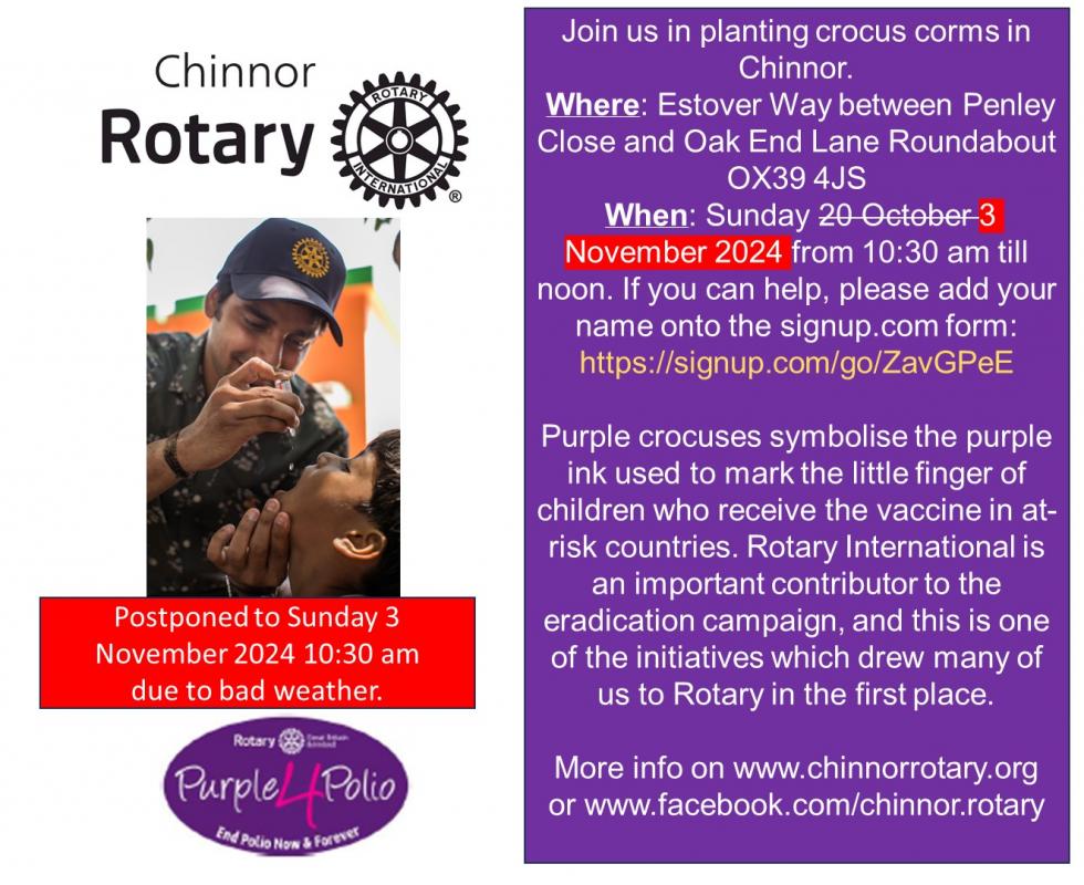 Purple4Polio in Chinnor