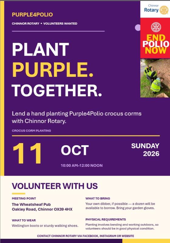 Purple4Polio volunteering