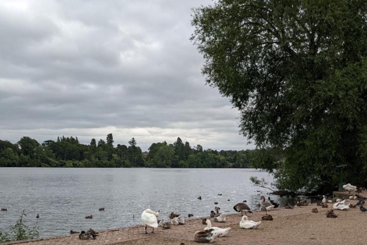 Ellesmere