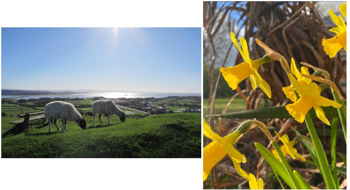 Winners of Melton Young Photographer 2025