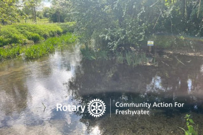 Hiz and Oughton confluence