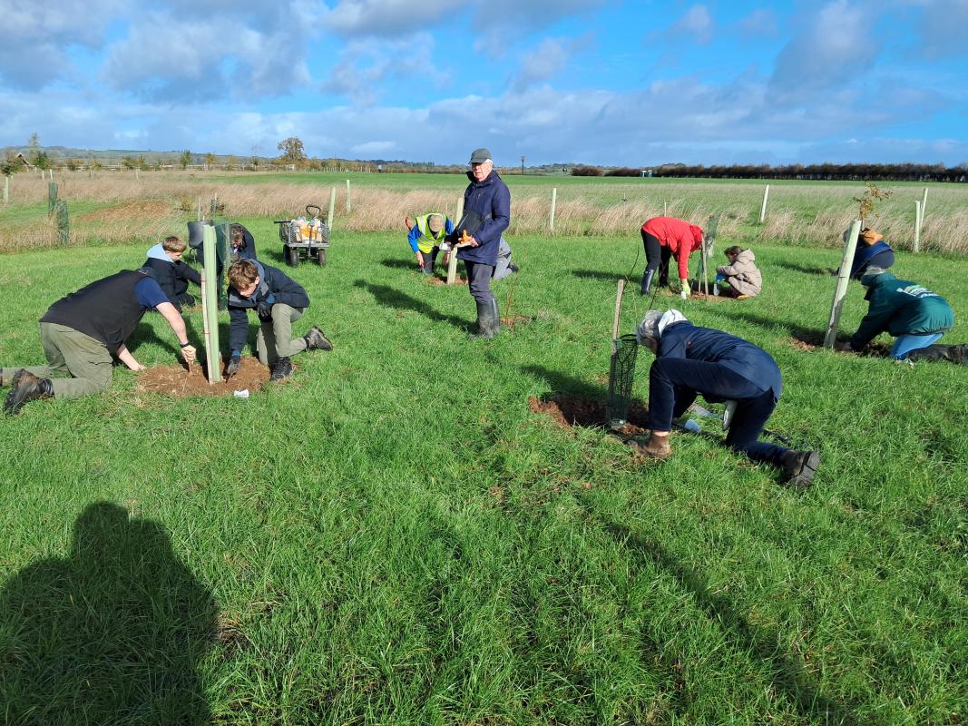 End Polo Now - Crocus Planting in Maiddenbrook Country Park