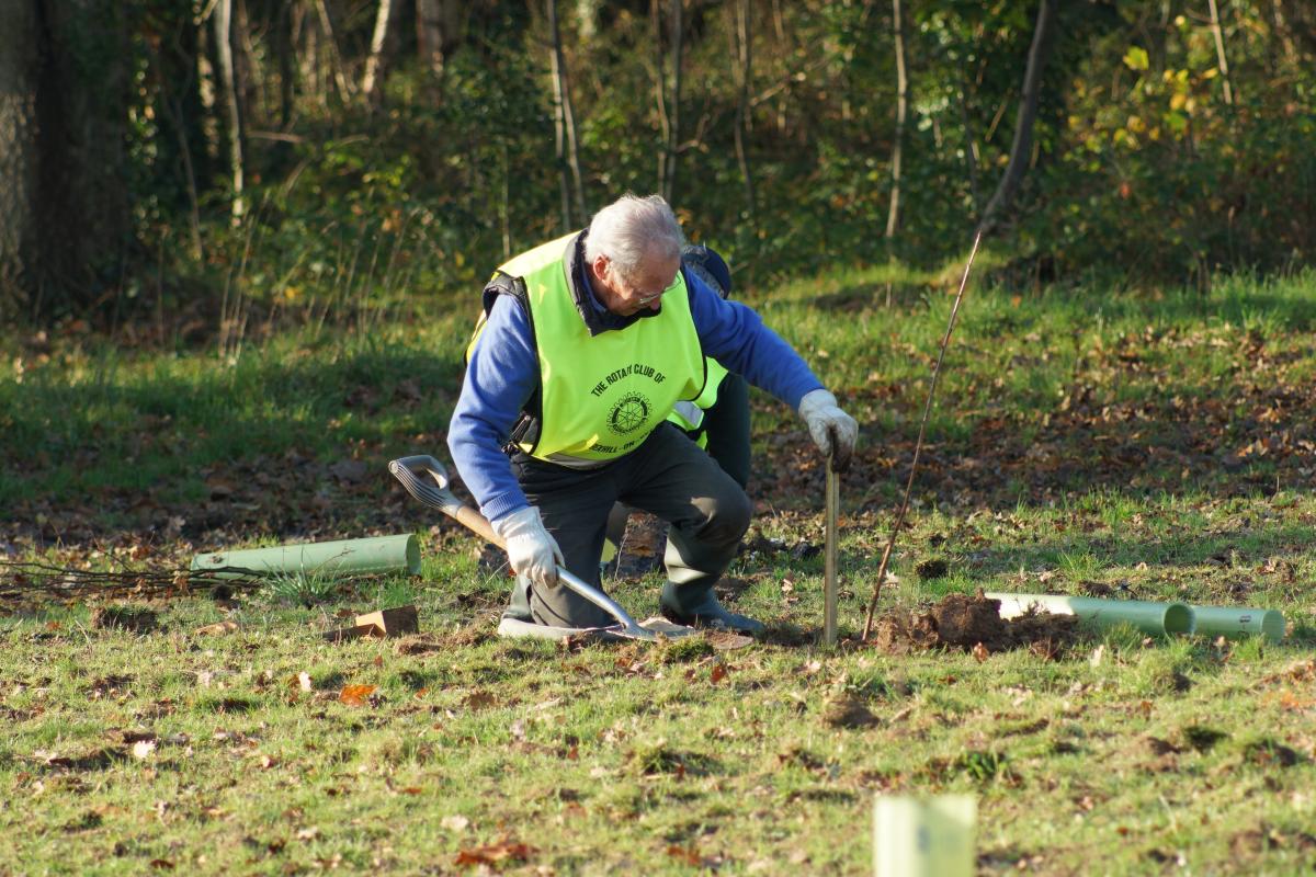 Tree Planting Project - Rotary Club of Bexhill