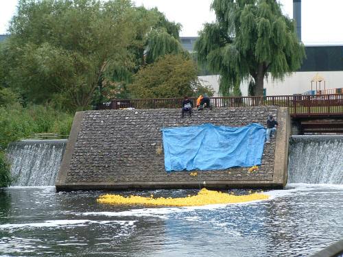 The 2004 Field is Launched