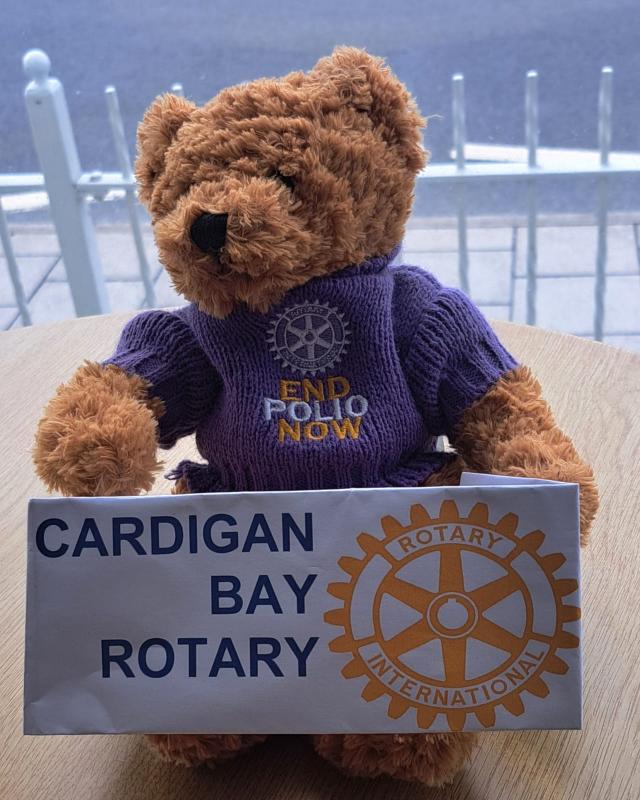 The End Polio Now bear! So cute but he's 