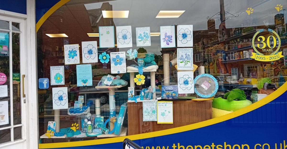 The Display