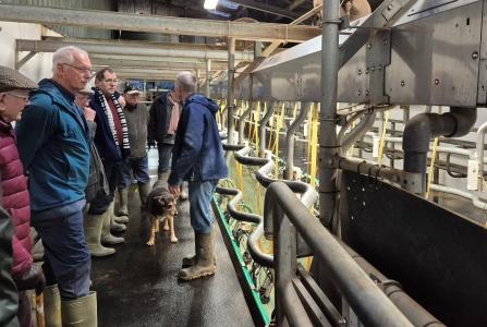 Milking Parlour