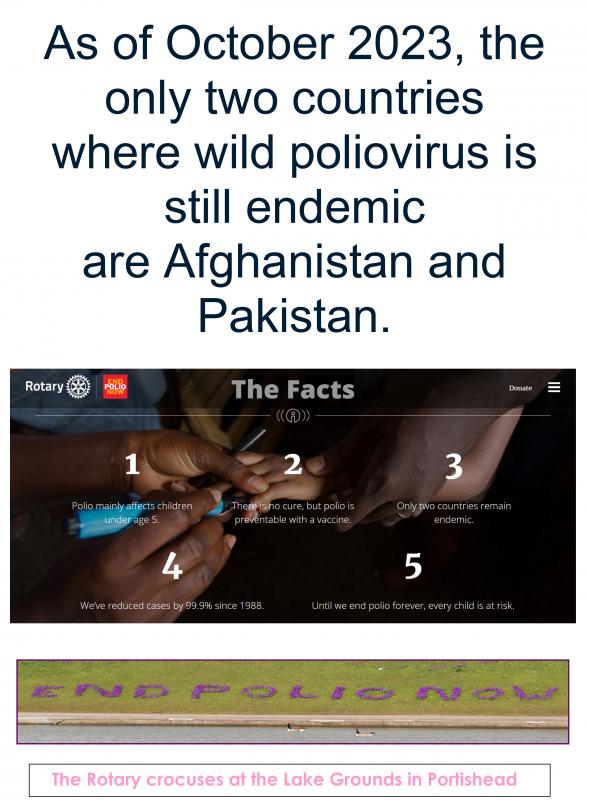 Facts about Polio