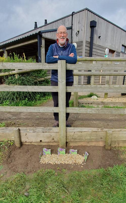 Crocus bulbs planted by John Mee